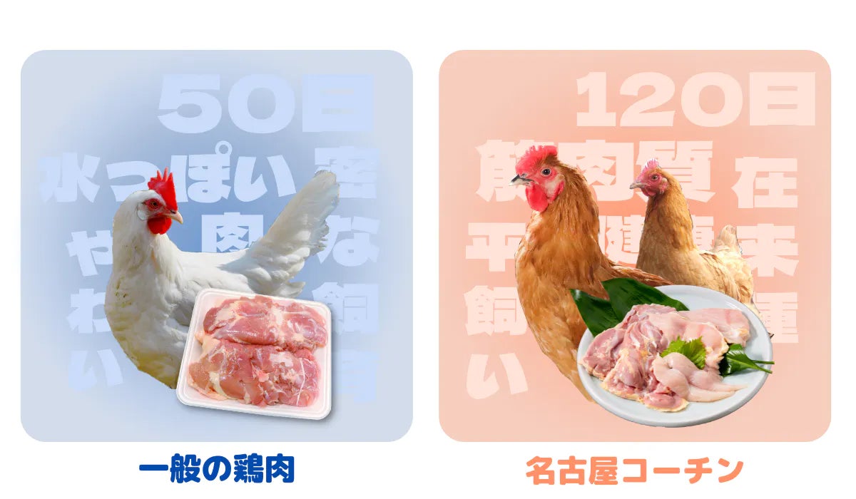 鍋で温かく 名古屋コーチンの美味しさを全国にお届けさせてください Campfire キャンプファイヤー 鍋で温かく 名古屋コーチンの美味しさを全国にお届けさせてください Campfire キャンプファイヤー