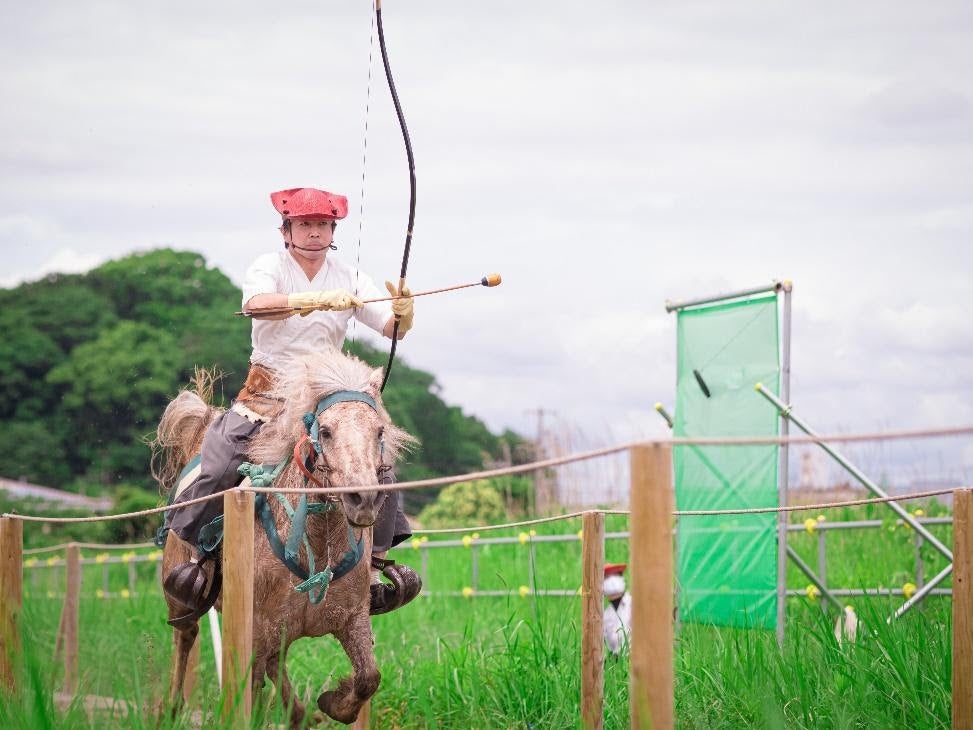 草, 屋外, フェンス, ワイヤー が含まれている画像
自動的に生成された説明