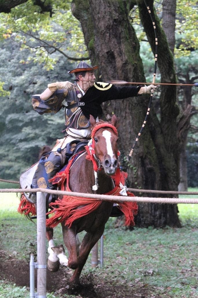 馬に乗っている人
中程度の精度で自動的に生成された説明