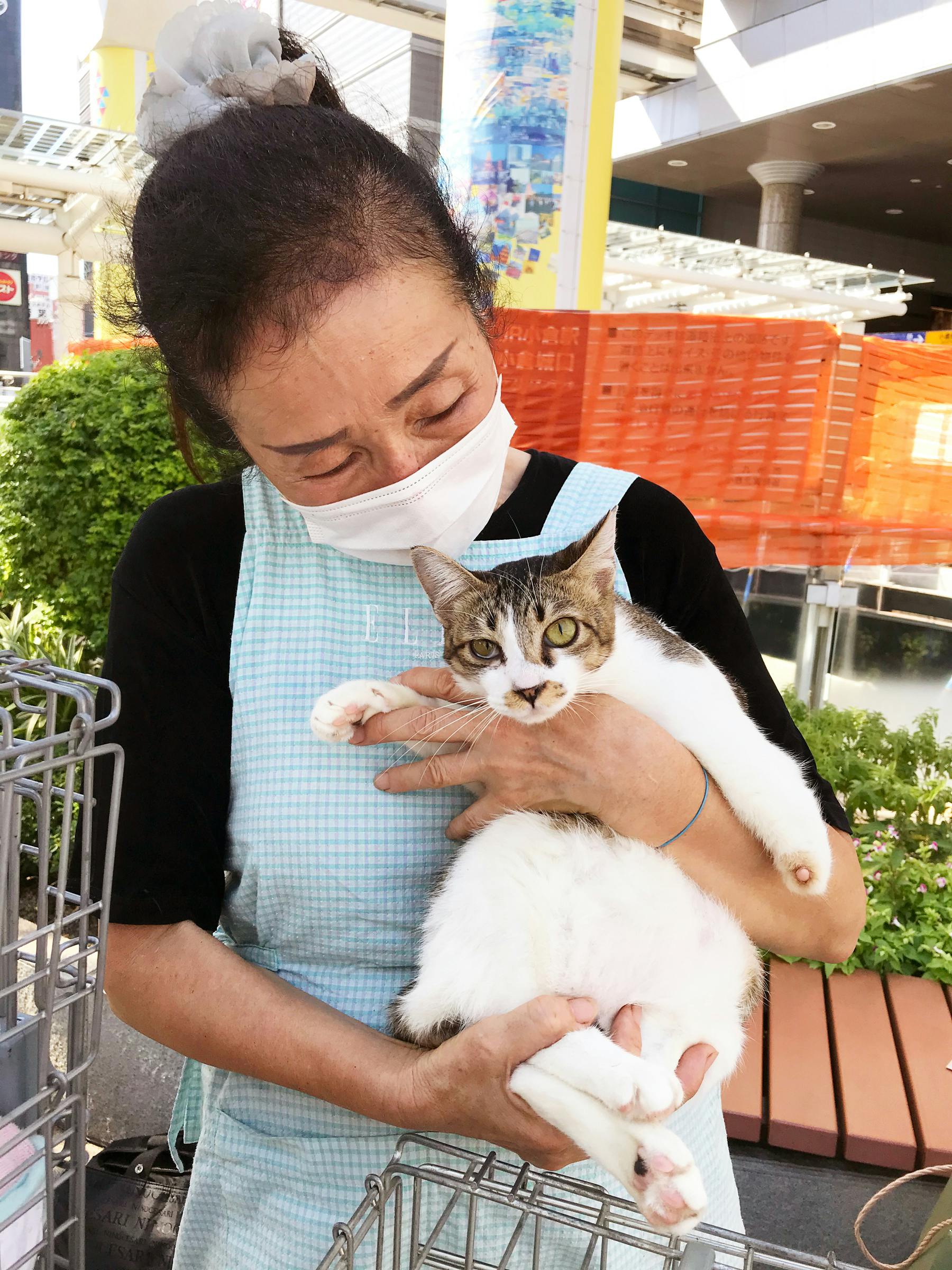 犬舎改修と医療費にご協力を 誰からも見放された猫や犬の命を救いたい Campfire キャンプファイヤー