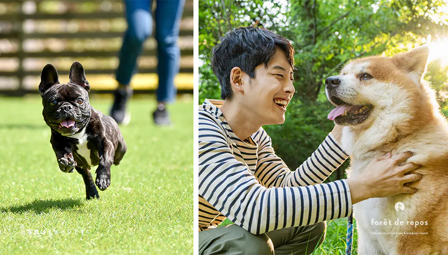 ペット同伴可能な施設!