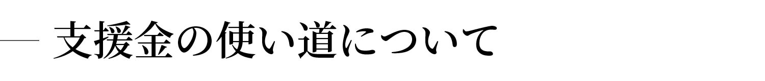 支援金の使い道について