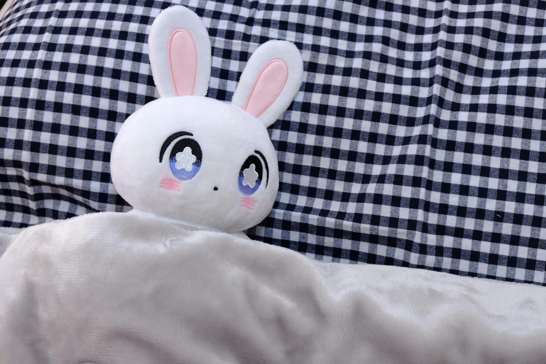 うさぎさん ぬいぐるみプロジェクト Campfire キャンプファイヤー うさぎさん ぬいぐるみプロジェクト Campfire キャンプファイヤー