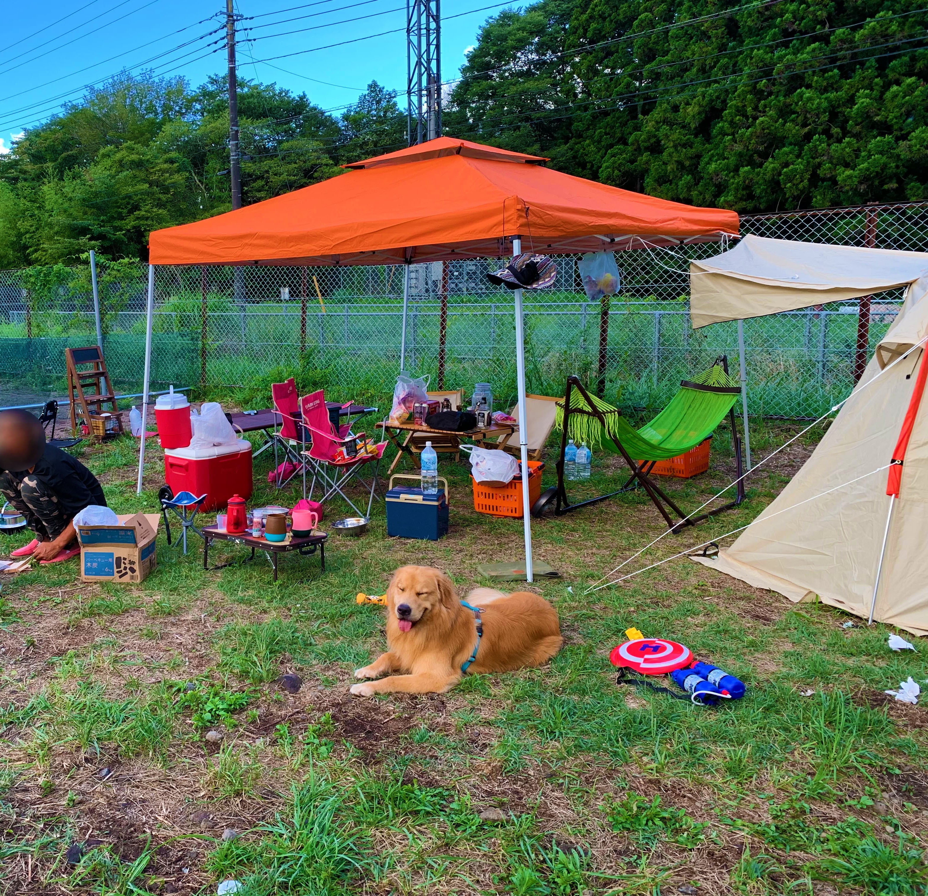 ドッグラン専用サイト