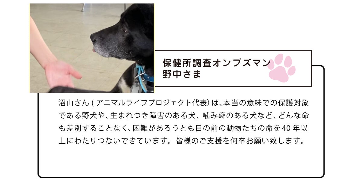 犬舎改修と医療費にご協力を 誰からも見放された猫や犬の命を救いたい Campfire キャンプファイヤー 犬舎改修と医療費にご協力を 誰からも見放された猫や犬の命を救いたい Campfire キャンプファイヤー