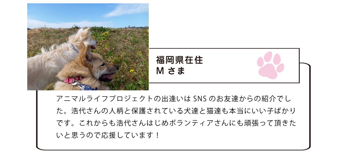 犬舎改修と医療費にご協力を 誰からも見放された猫や犬の命を救いたい Campfire キャンプファイヤー 犬舎改修と医療費にご協力を 誰からも見放された猫や犬の命を救いたい Campfire キャンプファイヤー