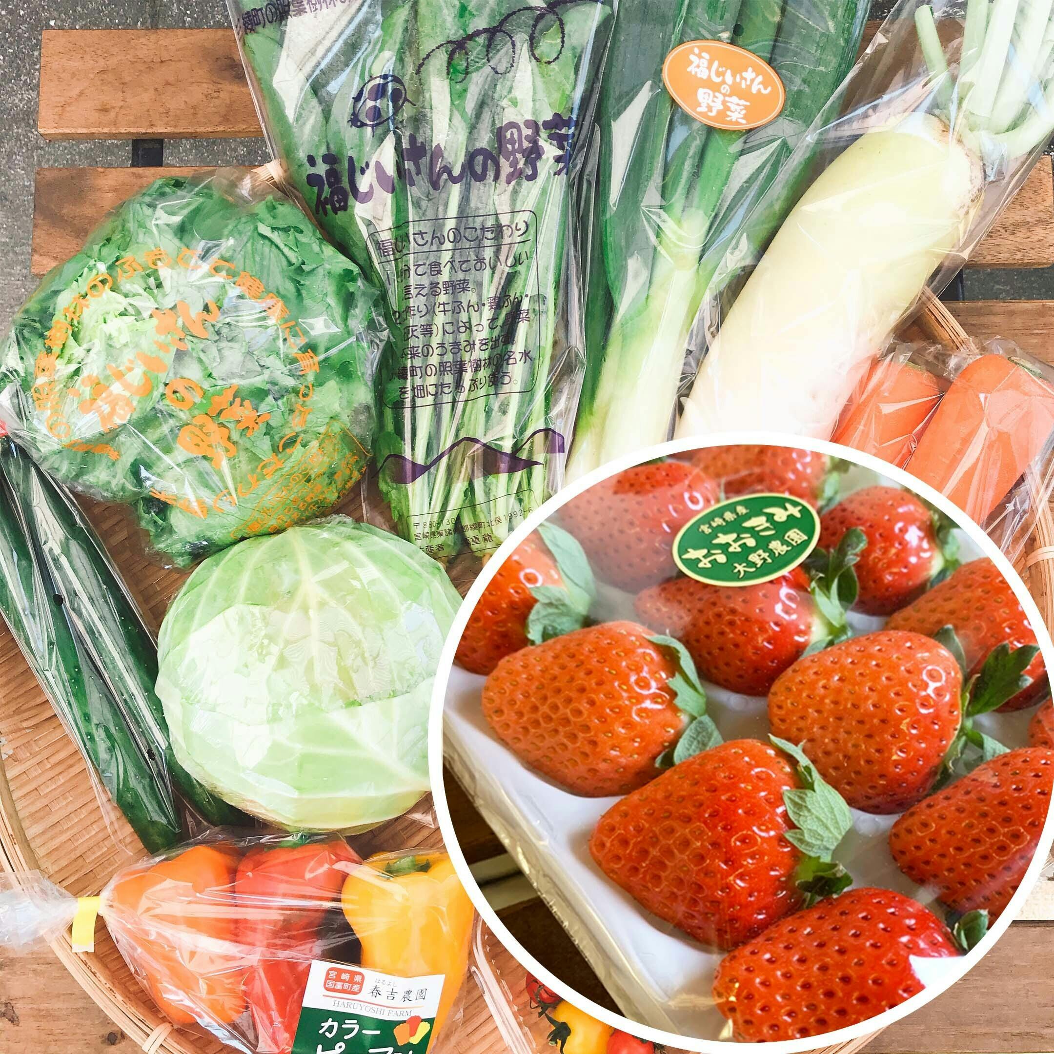 八百屋がsdgsと 生産者の悩みを解決する 宮崎県産青果物のフリーズドライ計画 Campfire キャンプファイヤー 八百屋がsdgsと 生産者の悩みを解決する 宮崎県産青果物のフリーズドライ計画 Campfire キャンプファイヤー