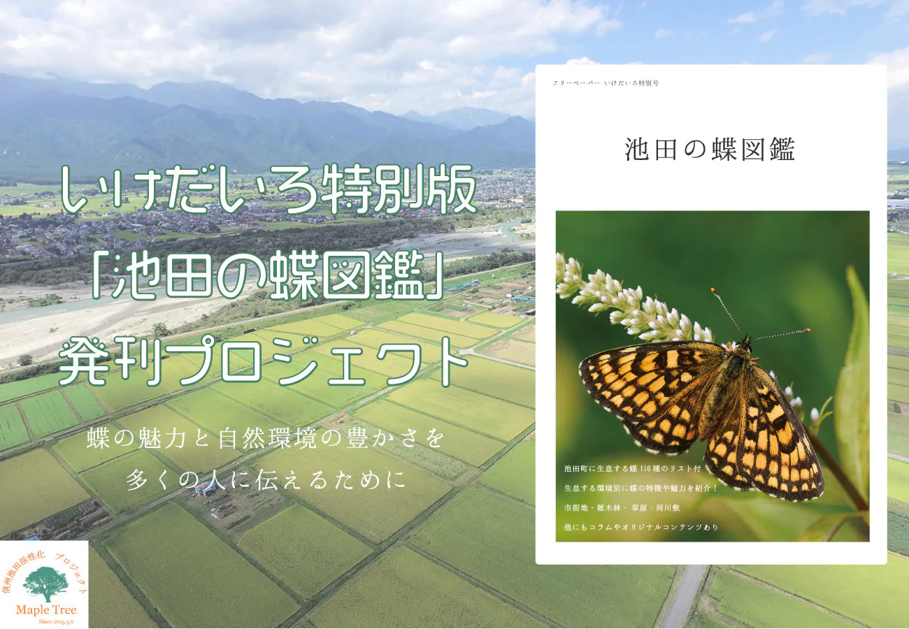 116種の蝶の魅力と自然環境の豊かさを伝えるために 池田の蝶図鑑 を発刊したい Campfire キャンプファイヤー 116種の蝶の魅力と自然環境の豊かさを伝えるために 池田の蝶図鑑 を発刊したい Campfire キャンプファイヤー