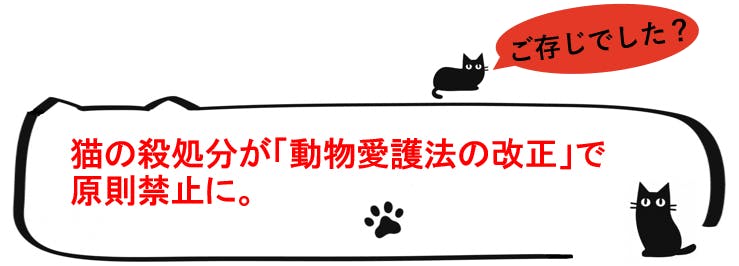 兵庫県赤穂市でこれ以上野良猫を増やさない 私たちのtnr活動を応援してください Campfire キャンプファイヤー