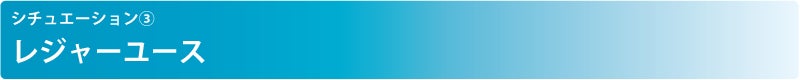 シチュエーション③ レジャーユース