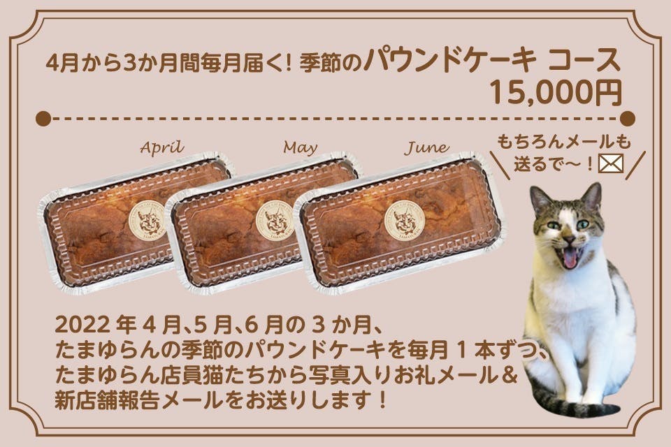 257.コースター４枚セット ハンドメイド ねこちゃん グレー