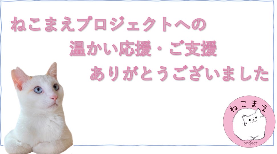 ねこまえプロジェクト 猫と暮らす前に読む絵本を子供たちに届けたい Campfire キャンプファイヤー ねこまえプロジェクト 猫と暮らす前に読む絵本を子供たちに届けたい Campfire キャンプファイヤー