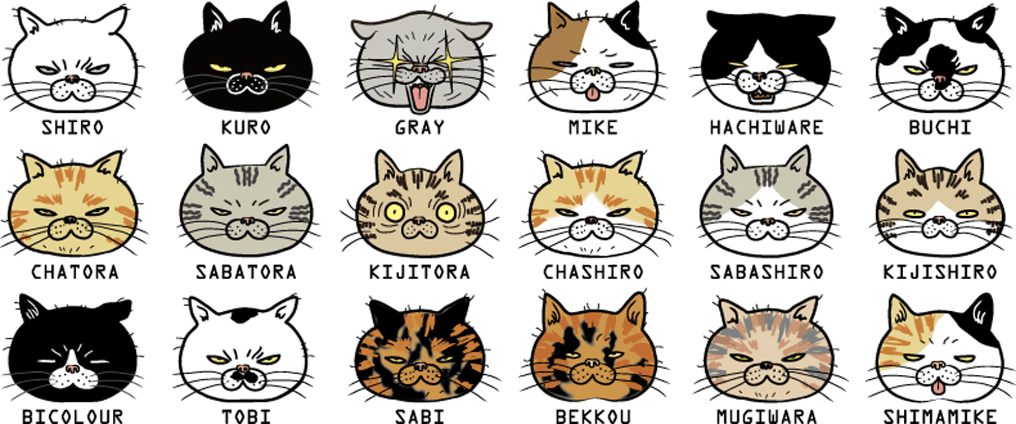 ブサ猫だらけの異空間 猫カフェもどき ぶさねこかん の開業支援お願いします Campfire キャンプファイヤー ブサ猫だらけの異空間 猫カフェもどき ぶさねこかん の開業支援お願いします Campfire キャンプファイヤー