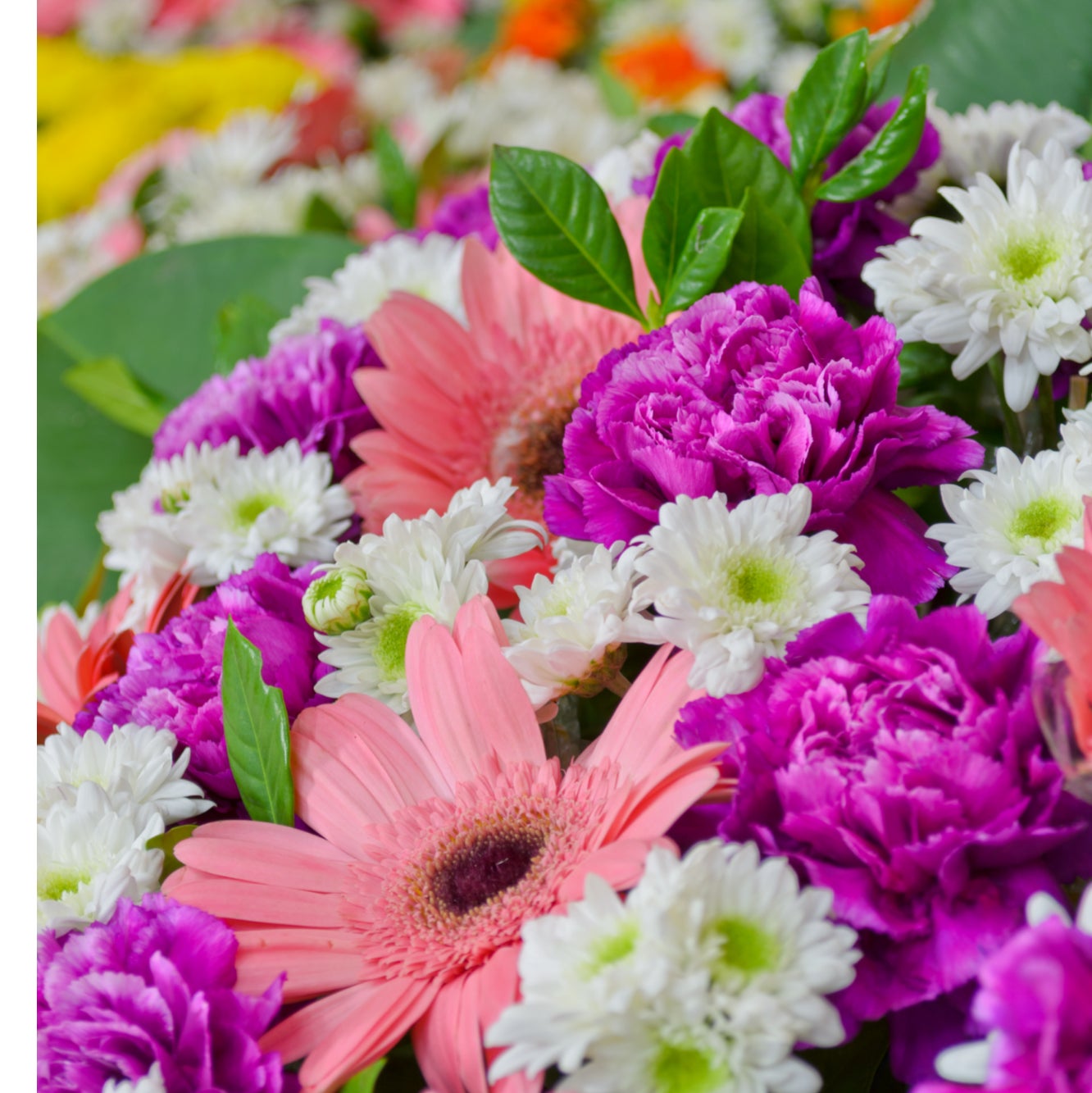 廃棄花をロスゼロに 優しさから生まれた ボタニカルフレグランスキャンドル Campfire キャンプファイヤー