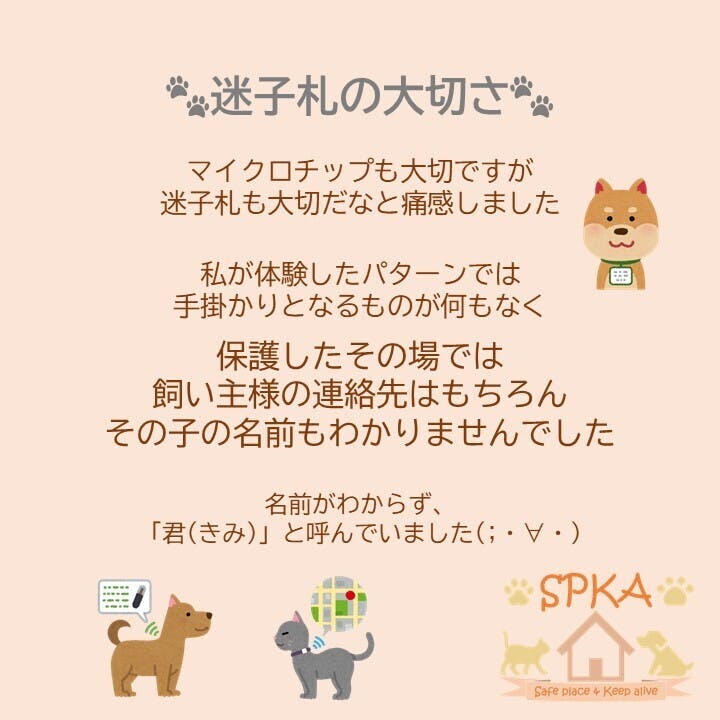 迷子犬を保護した時のお話 反省点多々有り Campfireコミュニティ