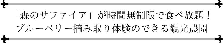 7年連続モンドセレクション受賞の農家が超大粒のブルーベリー生果実をお届けします Campfire キャンプファイヤー 7年連続モンドセレクション受賞の農家が超大粒のブルーベリー生果実をお届けします Campfire キャンプファイヤー