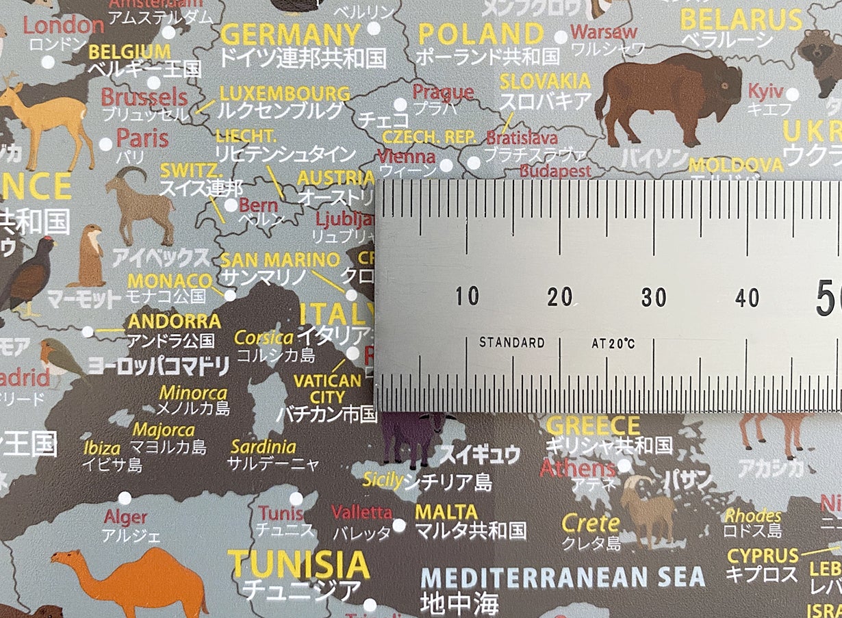 知育とインテリアのための世界地図 どうぶつ沢山 旅のワクワクも子供と一緒に Campfire キャンプファイヤー