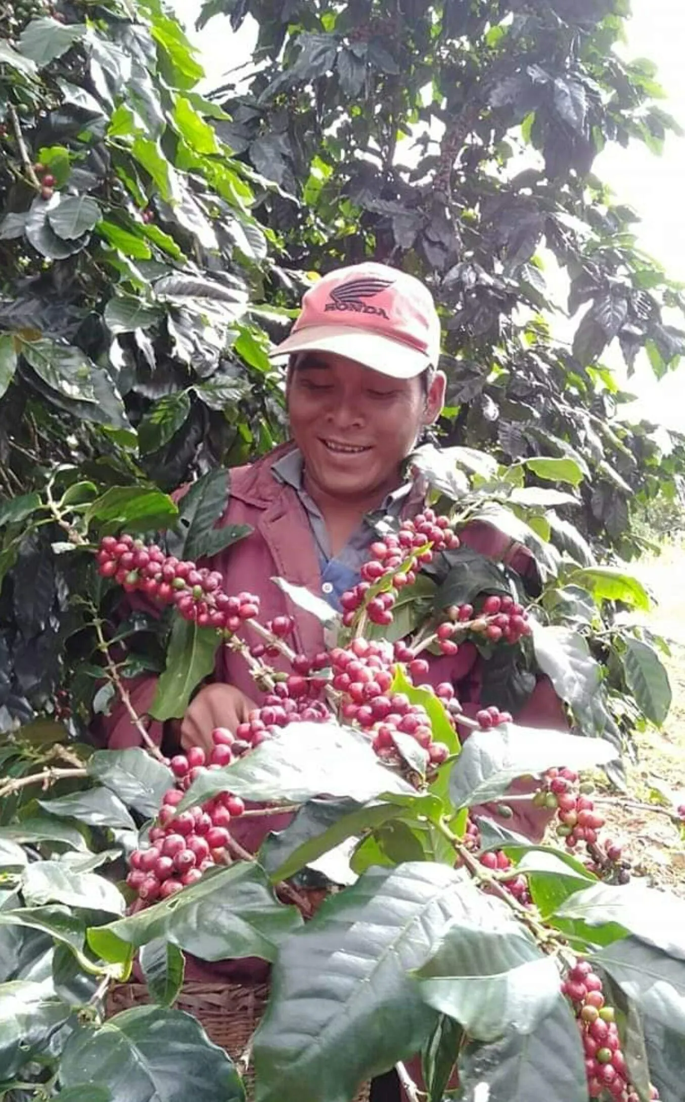 塩焙煎コーヒー って知っていますか Campfire キャンプファイヤー 塩焙煎コーヒー って知っていますか Campfire キャンプファイヤー