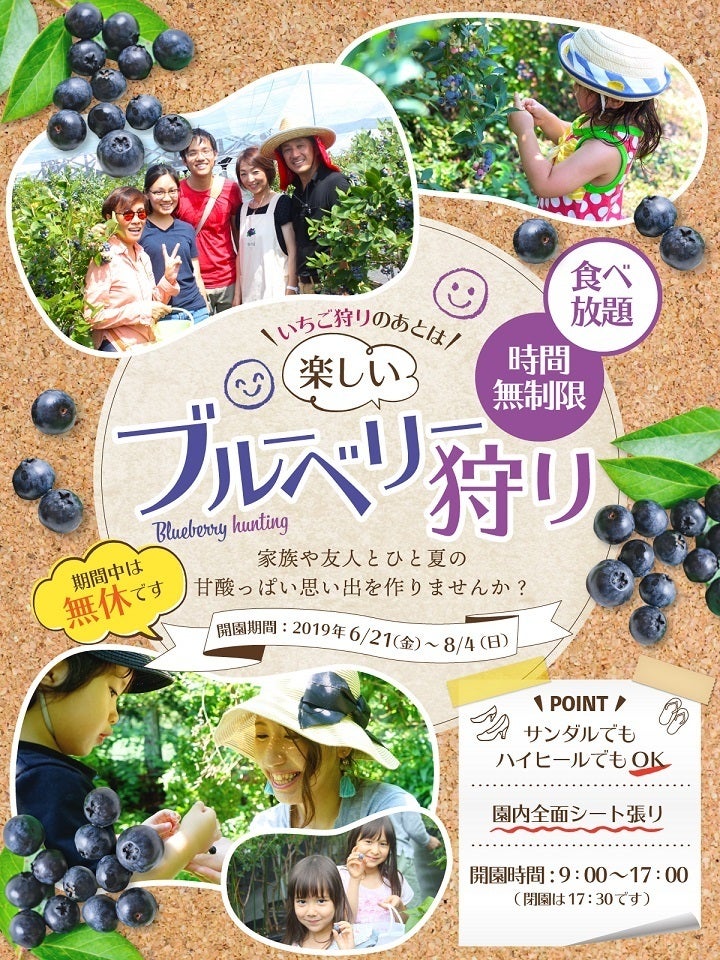 7年連続モンドセレクション受賞の農家が超大粒のブルーベリー生果実をお届けします Campfire キャンプファイヤー