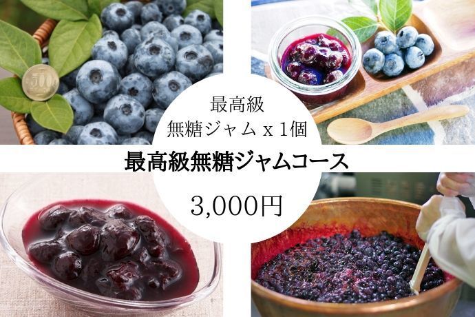 ①最高級採れた新鮮ブルーベリー 超希少超特大粒〜小粒秀品 新入荷1万