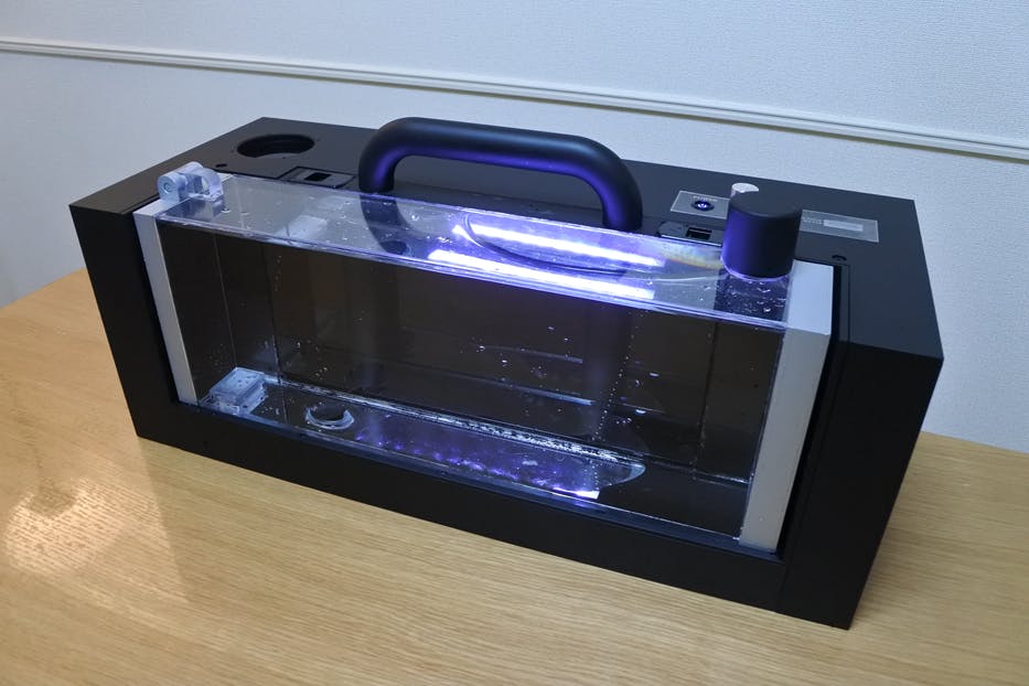 生きてる魚 が運べる活魚bag 製品化に向けテスト販売スタート Campfire キャンプファイヤー 生きてる魚 が運べる活魚bag 製品化に向けテスト販売スタート Campfire キャンプファイヤー