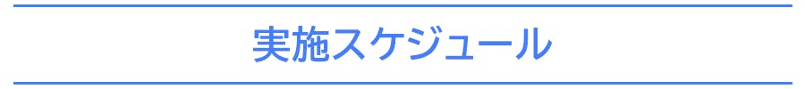 実施スケジュール