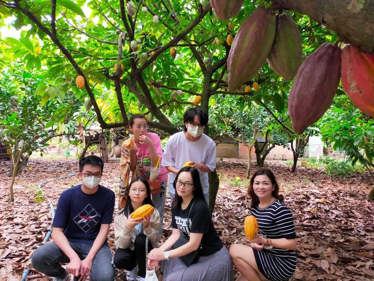 カシュー農園 カカオ農園 Inベトナム フルーティ ナッティなチョコスプレッド Campfire キャンプファイヤー カシュー農園 カカオ農園 Inベトナム フルーティ ナッティなチョコスプレッド Campfire キャンプファイヤー