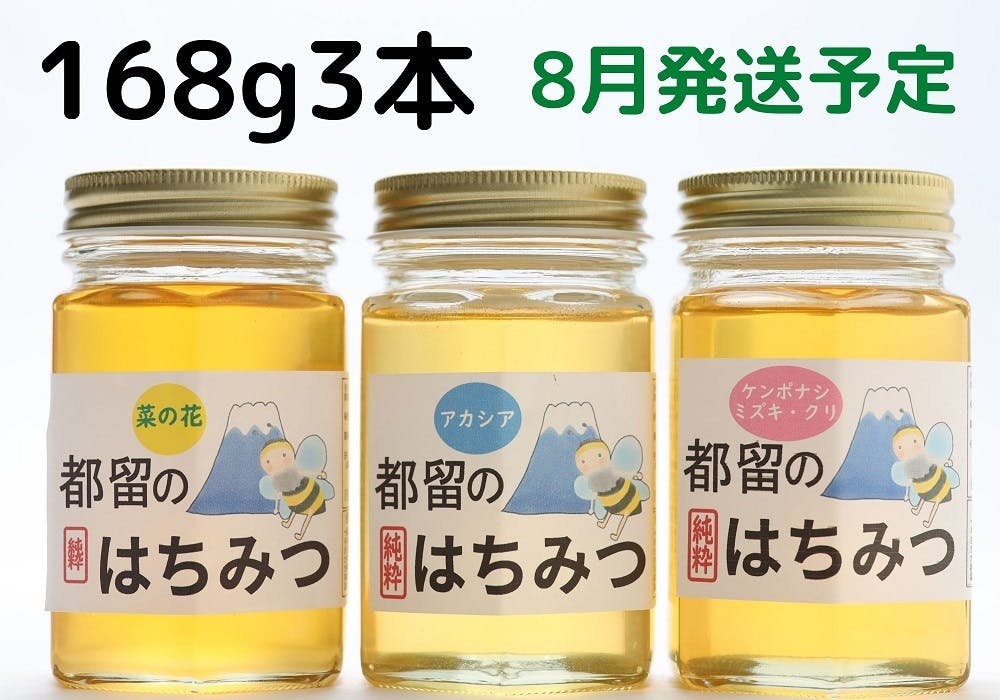 山梨県産 アカシア蜂蜜 1200g（ビン） 1本入り 2023 年5月採り - その他