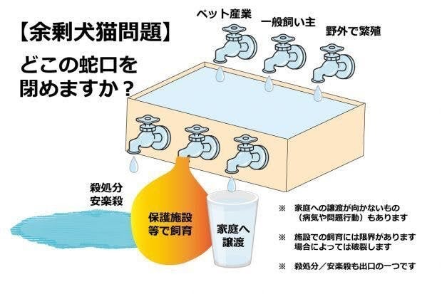 ダイアグラム
自動的に生成された説明