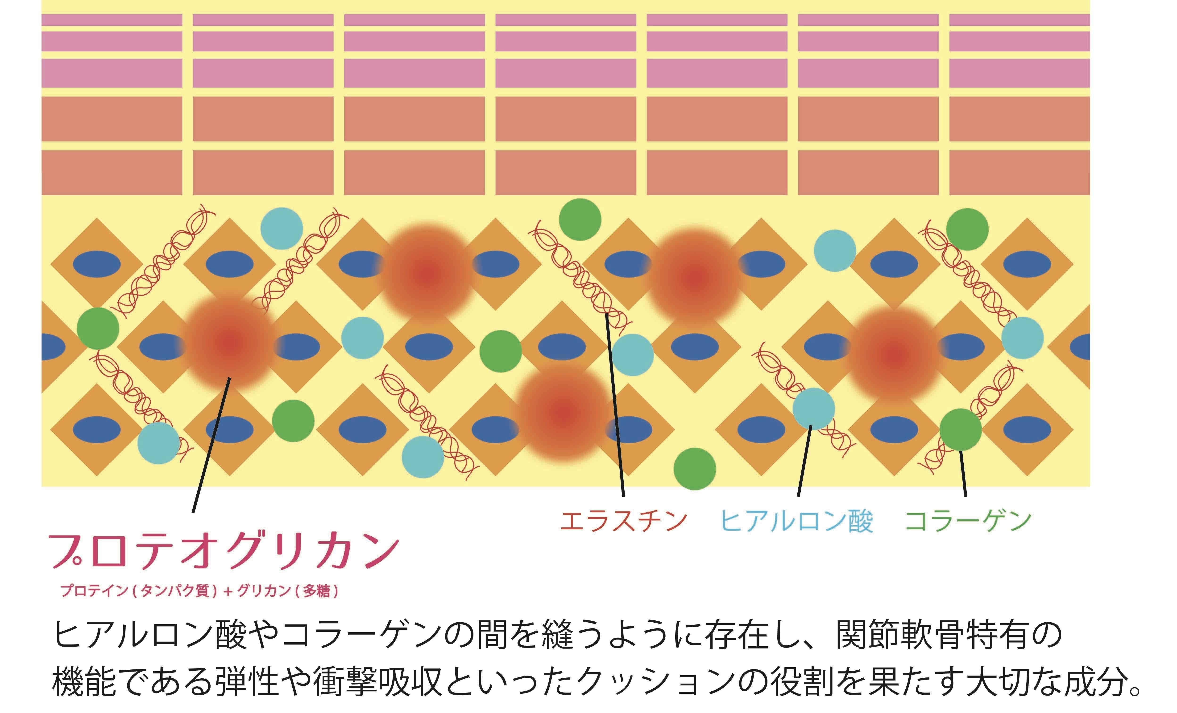 クライマーの怪我予防に最高なサプリメントを開発したい Campfire キャンプファイヤー クライマーの怪我予防に最高なサプリメントを開発したい Campfire キャンプファイヤー