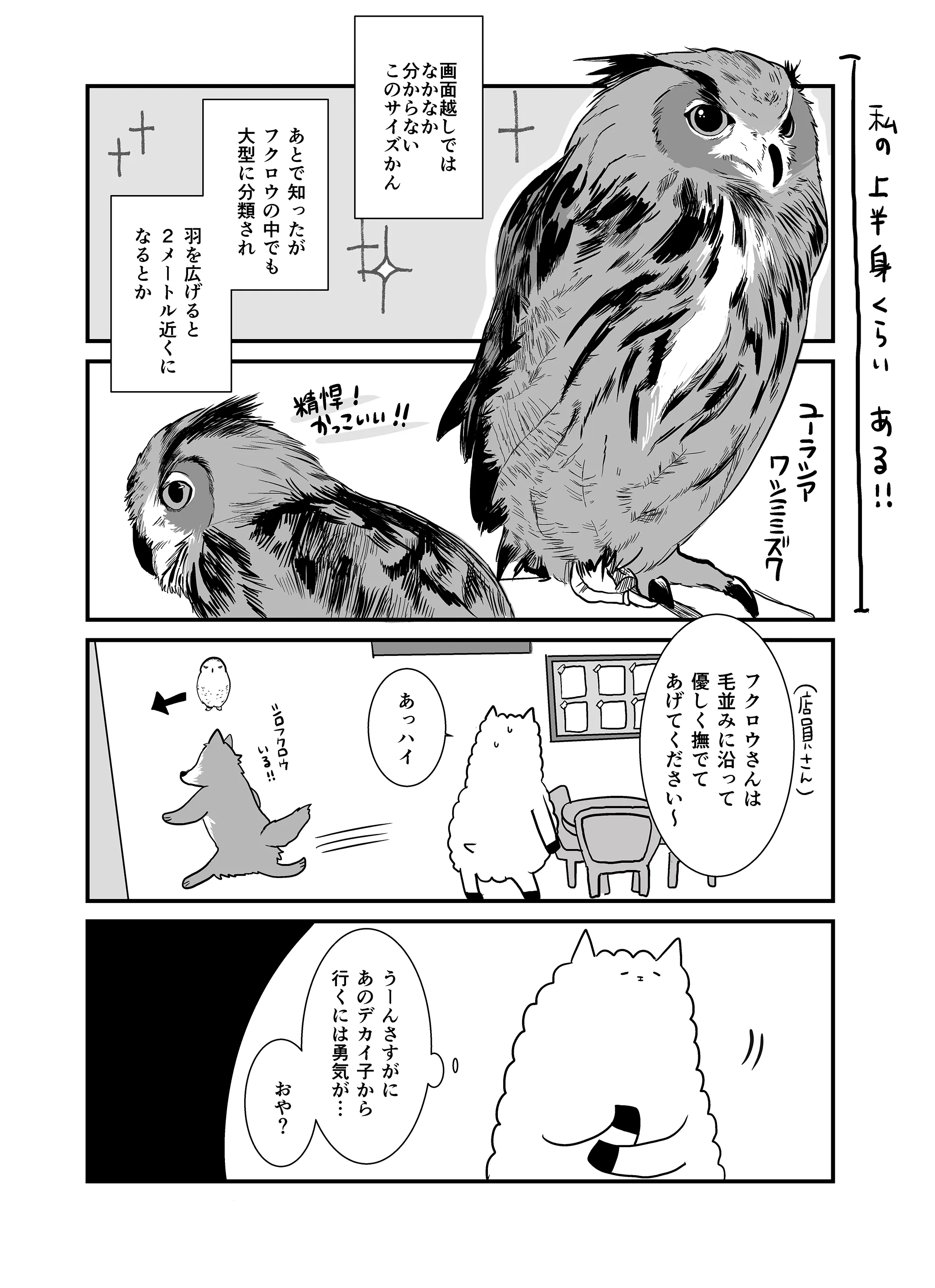 妙齢独身オタク女性のフクロウ飼育検討エッセイ 単行本化 Campfire キャンプファイヤー