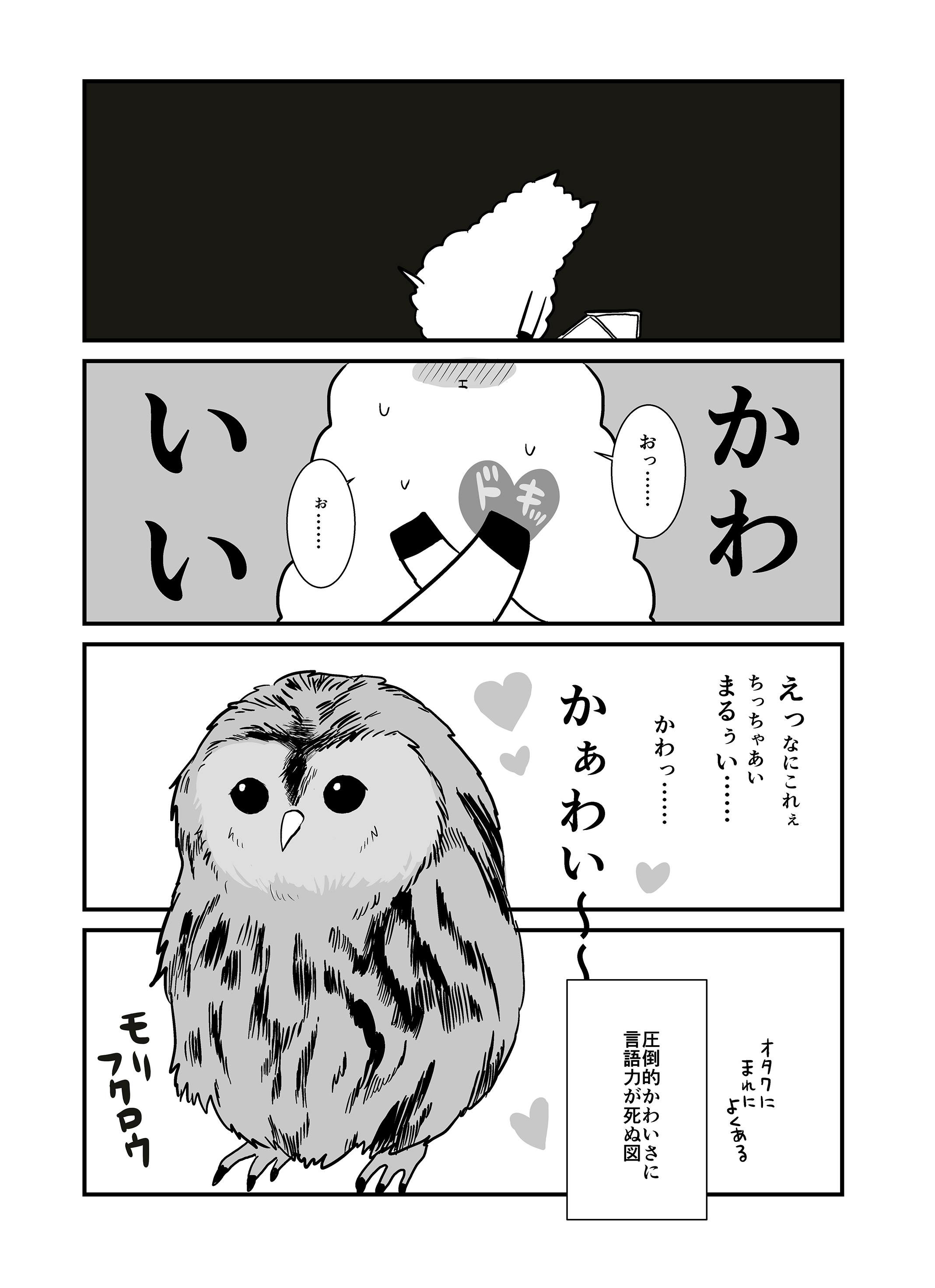 妙齢独身オタク女性のフクロウ飼育検討エッセイ 単行本化 Campfire キャンプファイヤー 妙齢独身オタク女性のフクロウ飼育検討エッセイ 単行本化 Campfire キャンプファイヤー