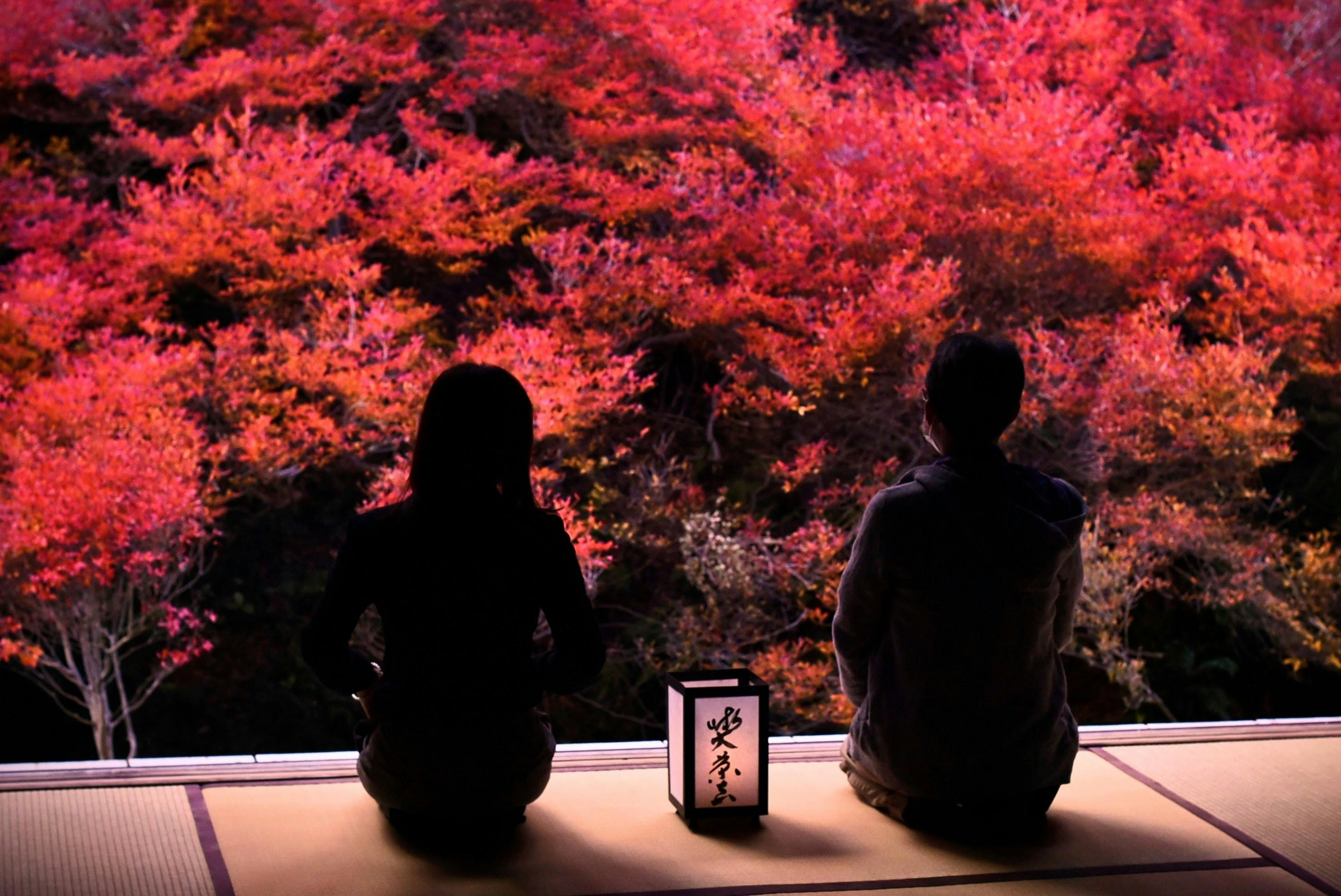 兵庫県豊岡市 100万本が咲くたんとうチューリップまつりで地域のファンづくり Campfire キャンプファイヤー 兵庫県豊岡市 100万本が咲くたんとうチューリップまつりで地域のファンづくり Campfire キャンプファイヤー