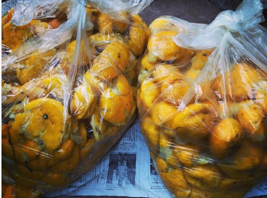 ゆず皮救出大作戦 高知は柚子生産量1位 でも皮は廃棄なのでアロマにして活用だ Campfire キャンプファイヤー ゆず皮救出大作戦 高知は柚子生産量1位 でも皮は廃棄なのでアロマにして活用だ Campfire キャンプファイヤー