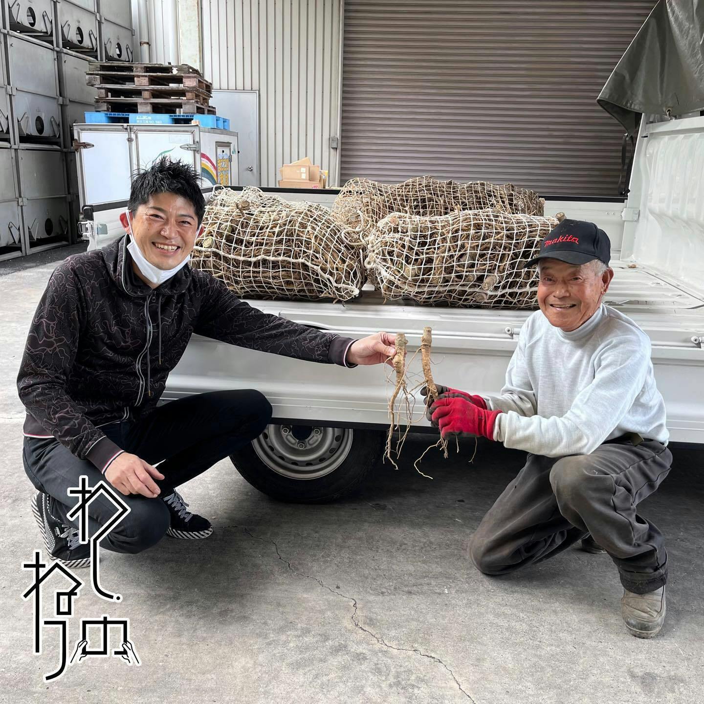 生産不足の手漉き和紙原料ねり トロロアオイ を家庭で育て 世界へ 第2ステージ Campfire キャンプファイヤー 生産不足の手漉き和紙原料ねり トロロアオイ を家庭で育て 世界へ 第2ステージ Campfire キャンプファイヤー