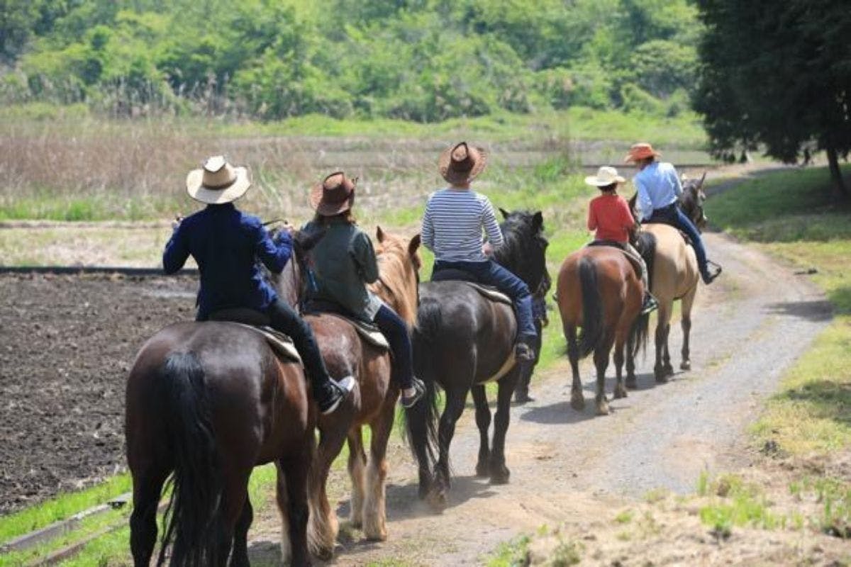流鏑馬 伝統文化である まほろば流鏑馬合戦 を盛り上げたい Campfire キャンプファイヤー 流鏑馬 伝統文化である まほろば流鏑馬合戦 を盛り上げたい Campfire キャンプファイヤー