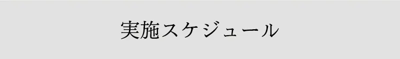 実施スケジュール