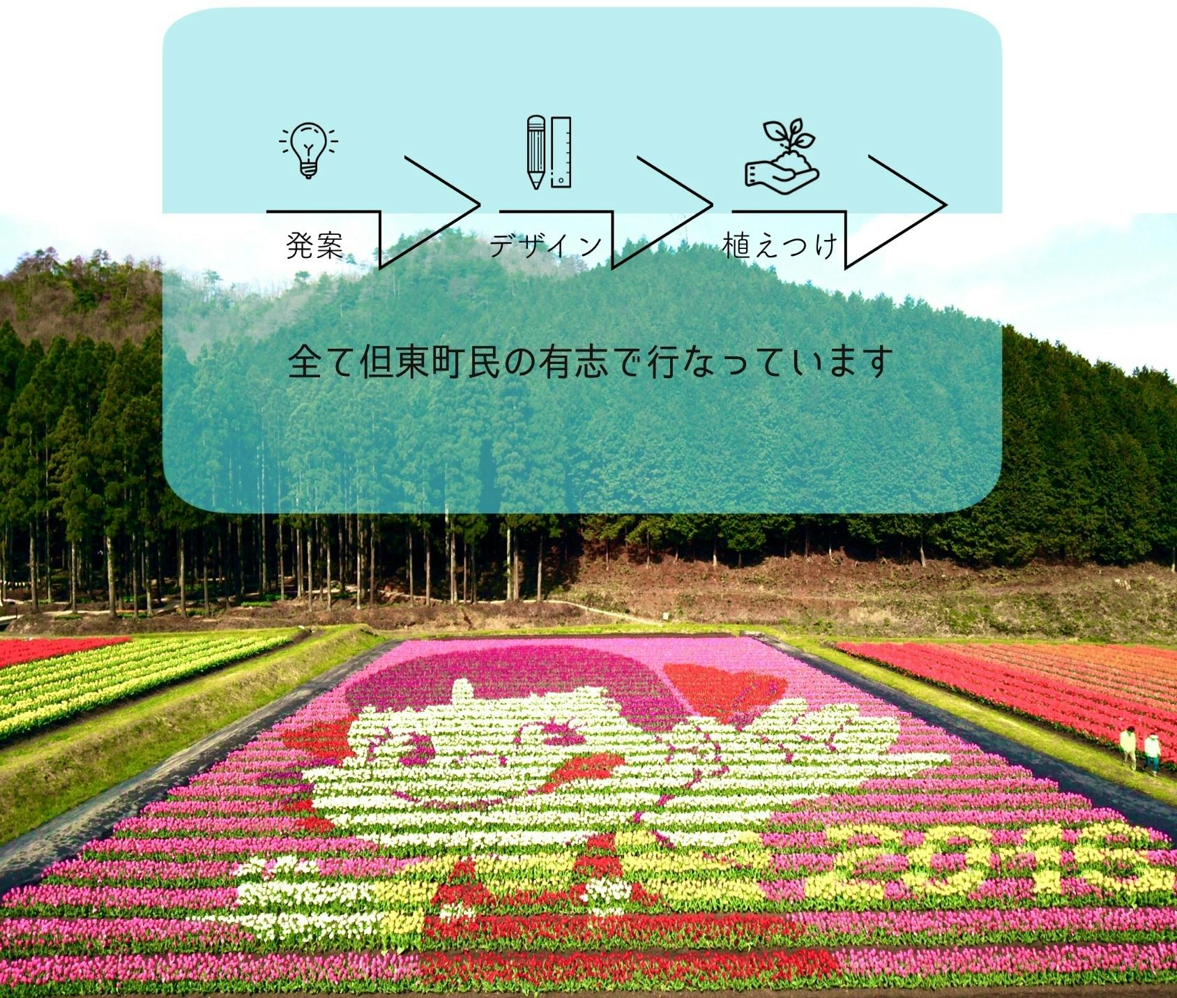 兵庫県豊岡市 100万本が咲くたんとうチューリップまつりで地域のファンづくり Campfire キャンプファイヤー 兵庫県豊岡市 100万本が咲くたんとうチューリップまつりで地域のファンづくり Campfire キャンプファイヤー