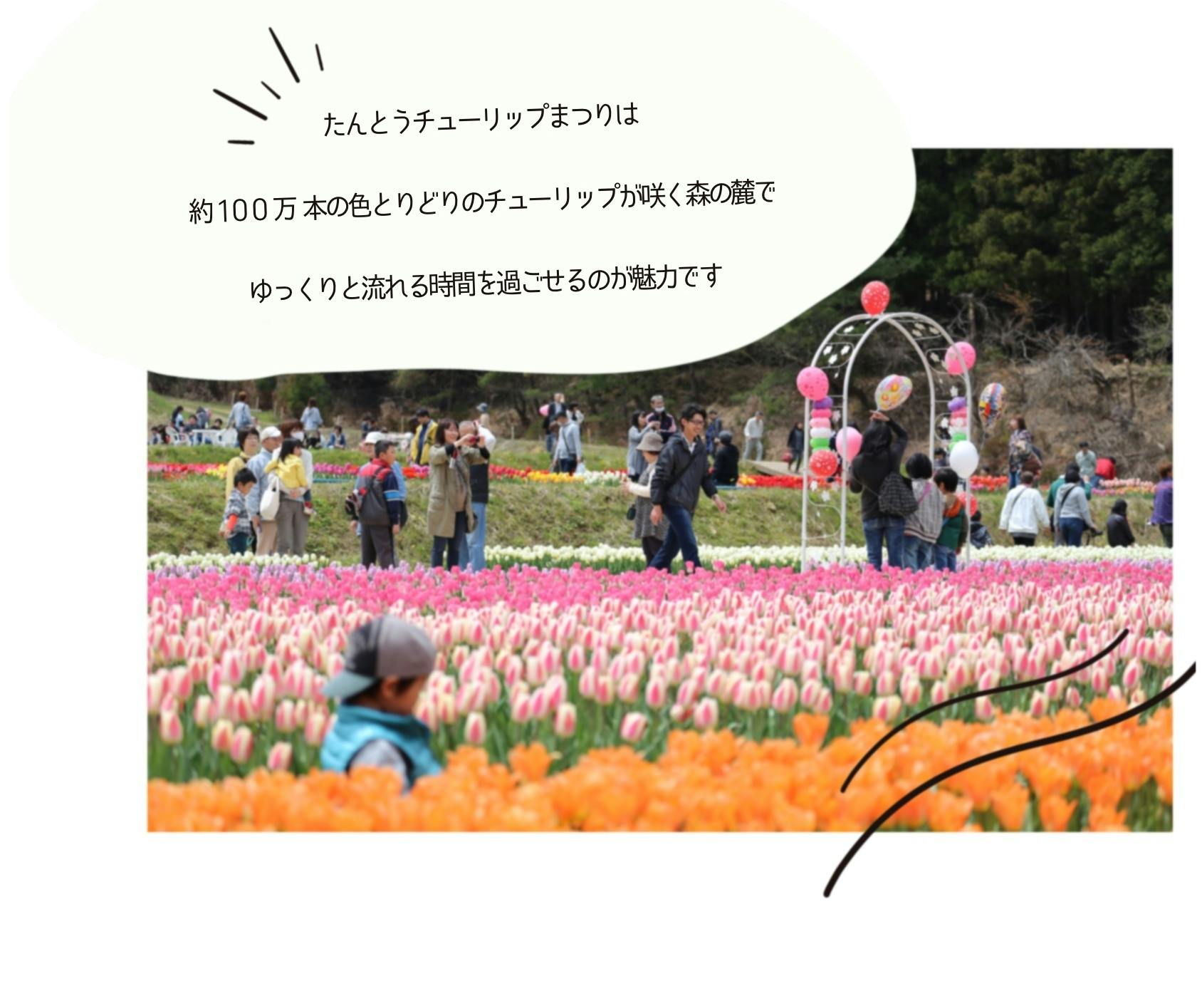 兵庫県豊岡市 100万本が咲くたんとうチューリップまつりで地域のファンづくり Campfire キャンプファイヤー 兵庫県豊岡市 100万本が咲くたんとうチューリップまつりで地域のファンづくり Campfire キャンプファイヤー