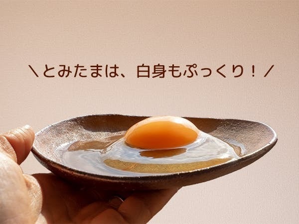 鳥インフルで強制殺処分！！ 地元に愛される卵「とみたま」を復活させ