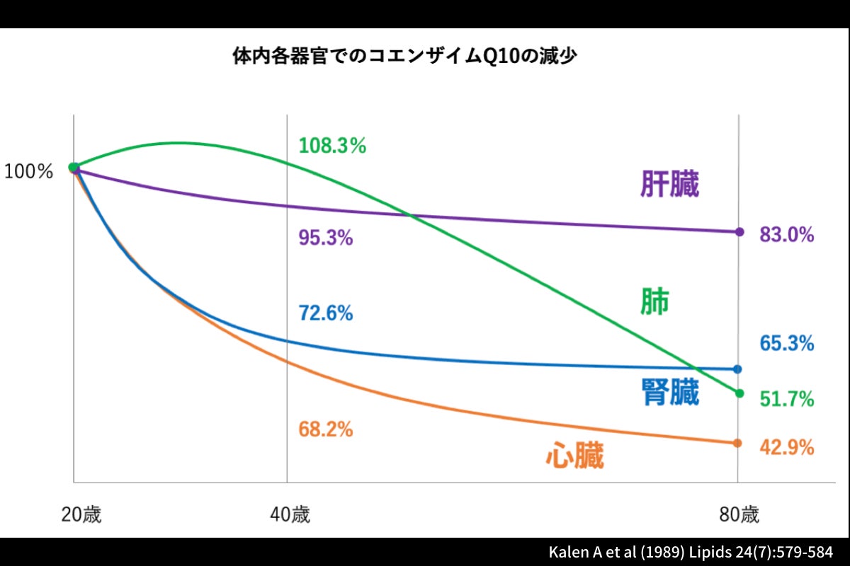 コエンザイムQ10の減少グラフ