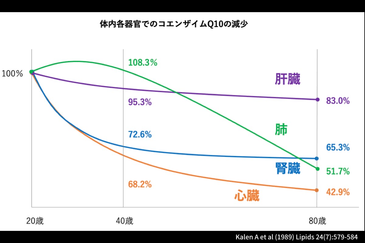 コエンザイムQ10の減少グラフ