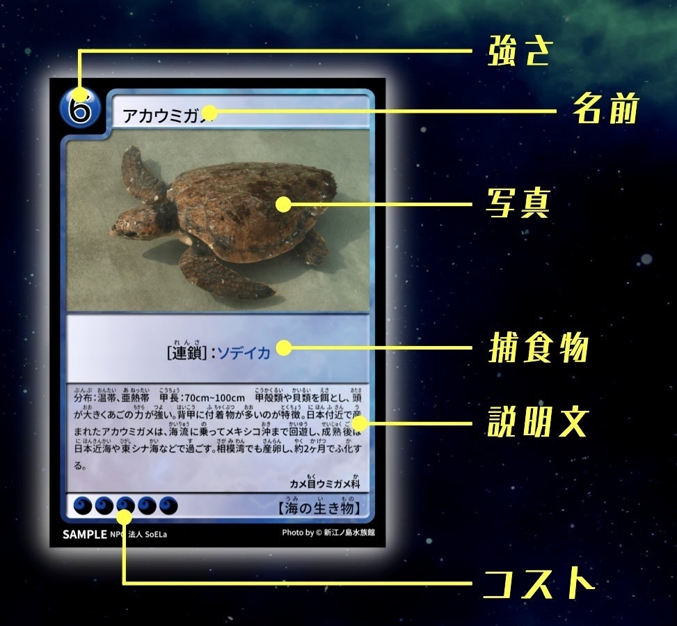 地球環境カードゲーム My Earth 相模湾パッケージを子ども達に届けたい Campfire キャンプファイヤー 地球環境カードゲーム My Earth 相模湾パッケージを子ども達に届けたい Campfire キャンプファイヤー