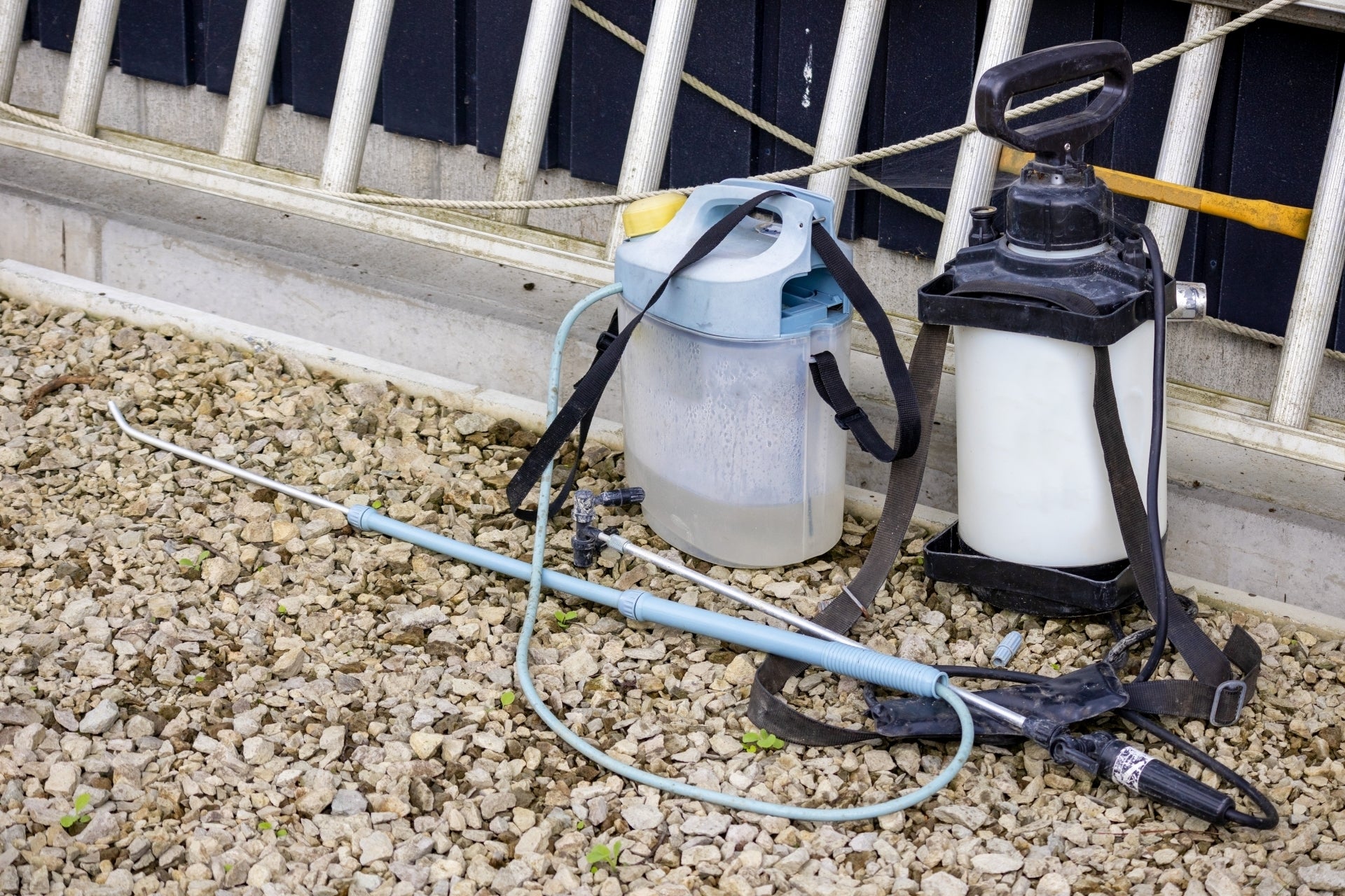 セリアック病のリスクがあるのは誰ですか?