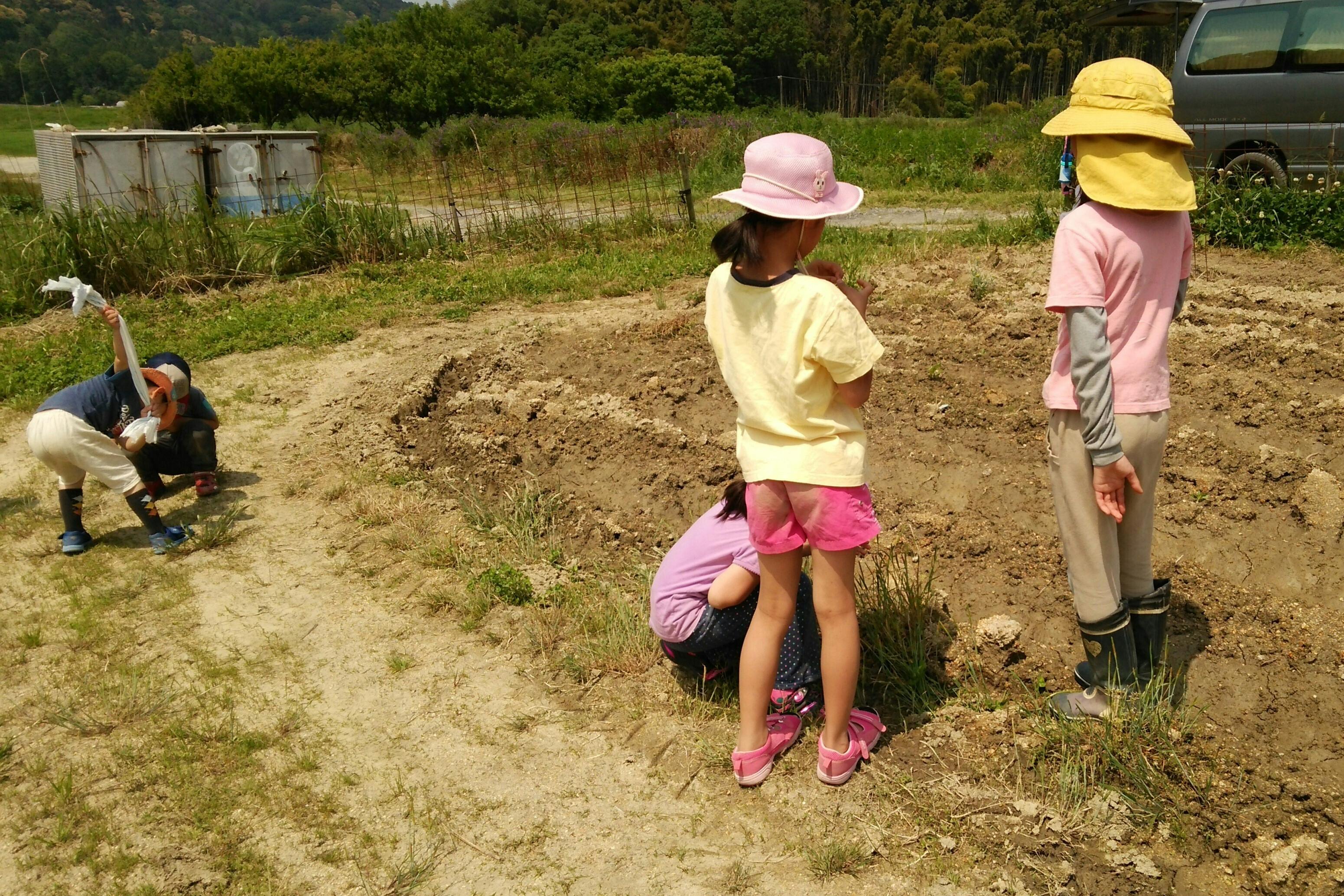 江戸時代から伝わる天然の藍染で、地球に優しい持続可能な循環をつくり