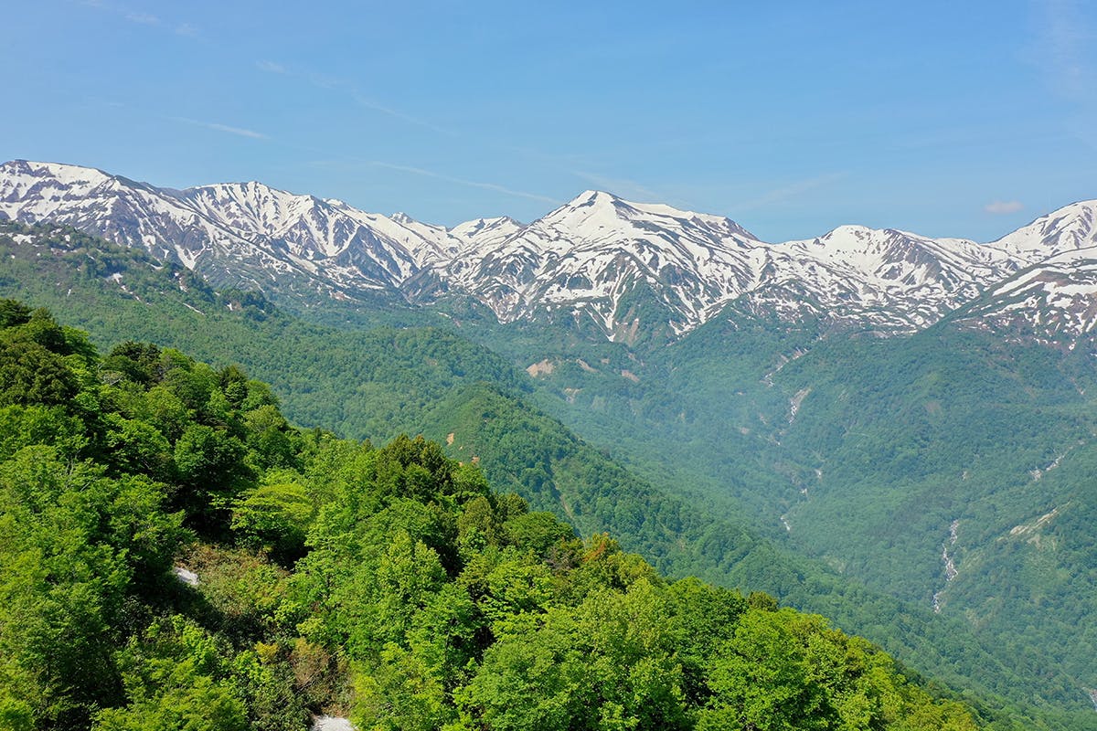 わたしたちのまちを元気に 糸魚川の森林資源で地域経済を動かしたい Campfire キャンプファイヤー わたしたちのまちを元気に 糸魚川の森林資源で地域経済を動かしたい Campfire キャンプファイヤー