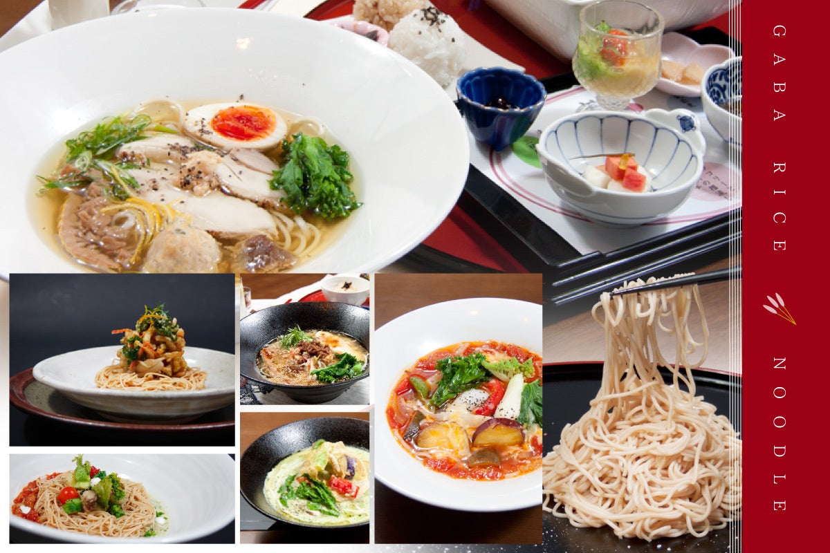綿わた米綿(べいめん)最上級わた綿100%10枚入り毛足が長く切れにくくふっくら お米をもっと食べて欲しい！国産米だけで作った米粉乾麺『BEIMEN（べい