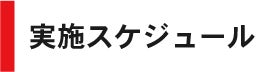 実施スケジュール