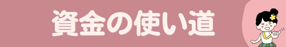 資金の使い道