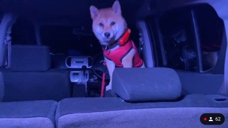 過去のライブ配信行った時の写真です